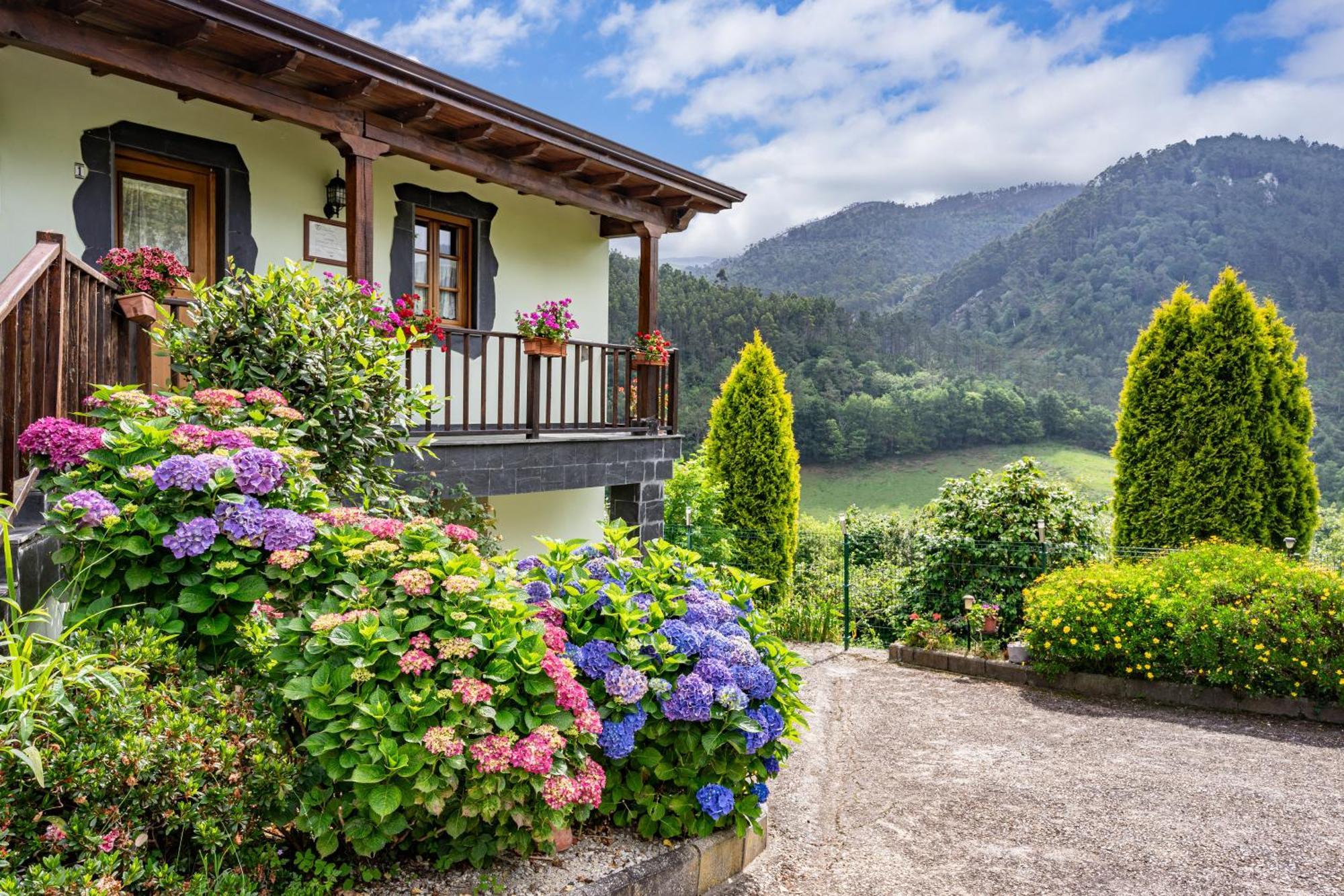 Maseda 1 Villa Villayón Dış mekan fotoğraf