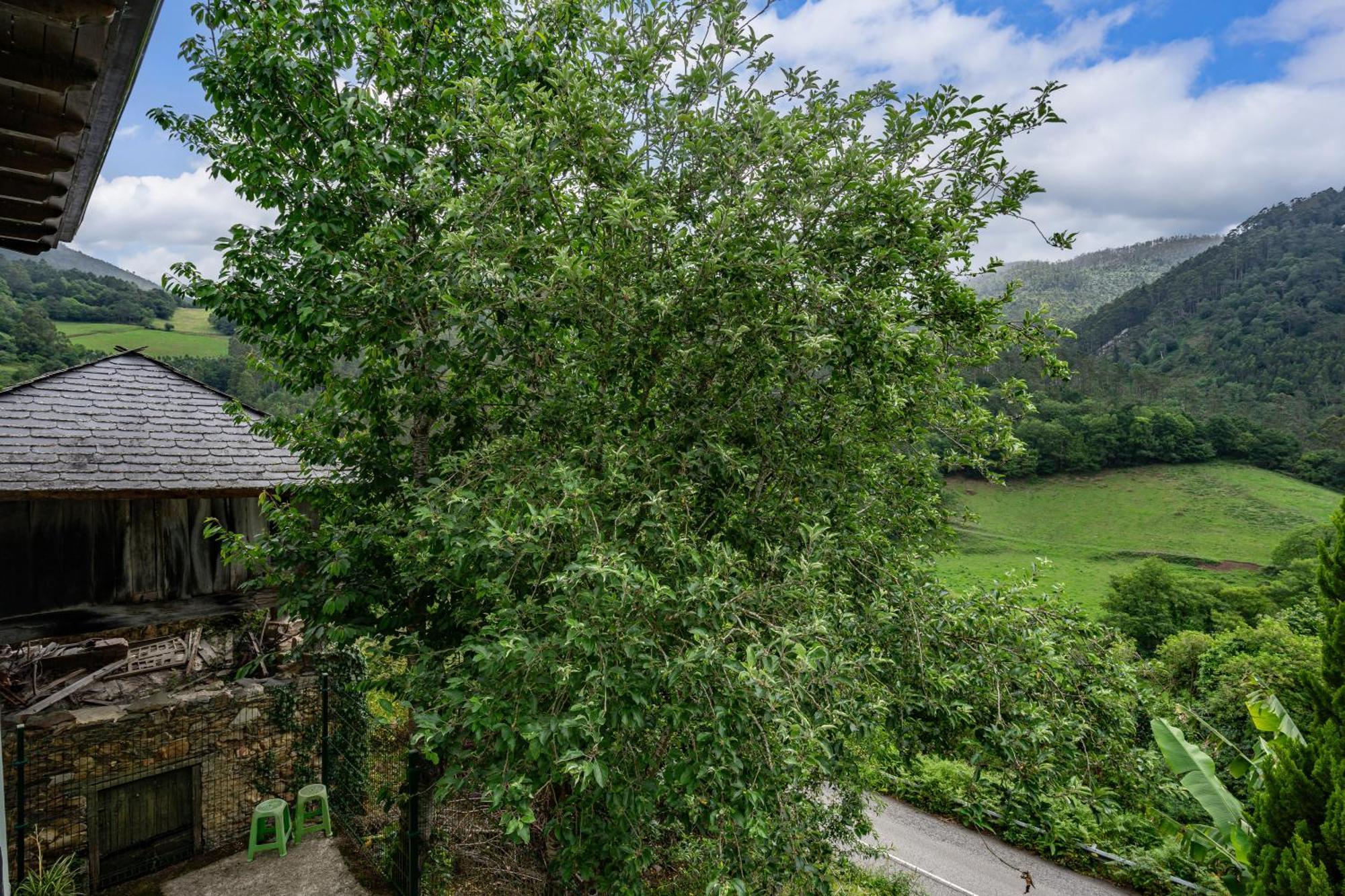 Maseda 1 Villa Villayón Dış mekan fotoğraf