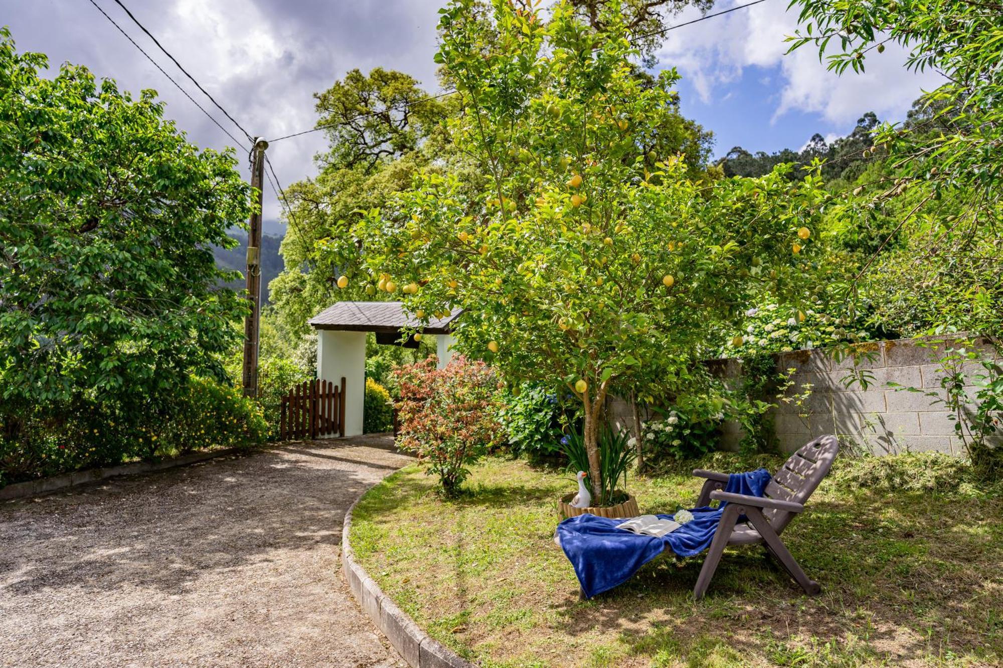 Maseda 1 Villa Villayón Dış mekan fotoğraf